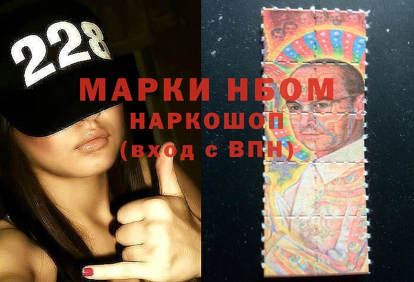 ешки Няндома